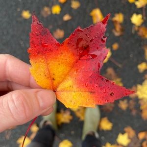 Meet your Posher, Meghan